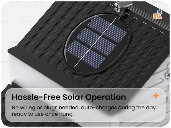 FeatherLuxe Solar Feeder