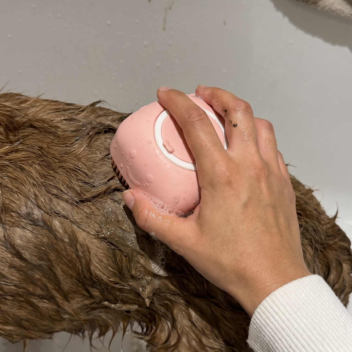 Paw Scrub